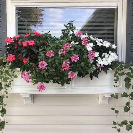Mayne Nantucket Window Box 4' - White 4831-W